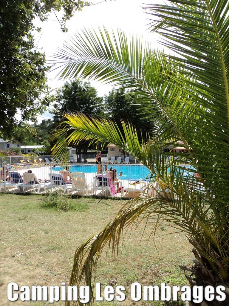 Piscine Camping Les Ombrages La Tremblade - Ronce les bains